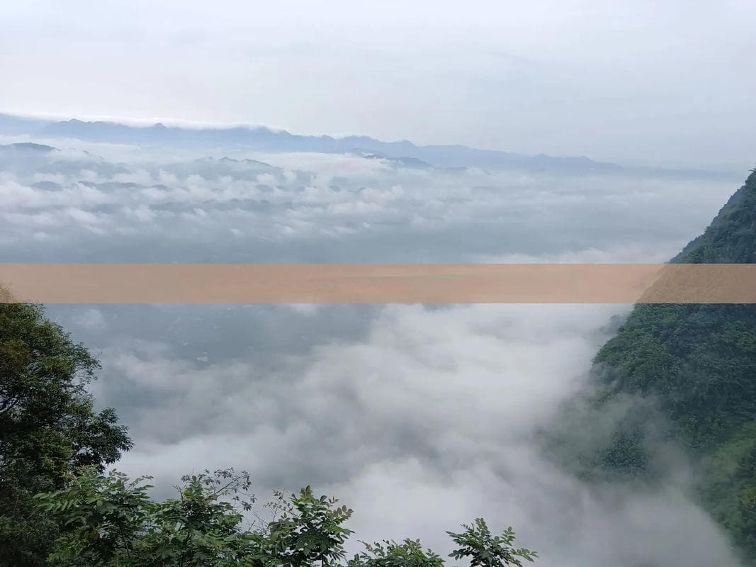探索海南旅游市场：经营策略与盈利模式分析