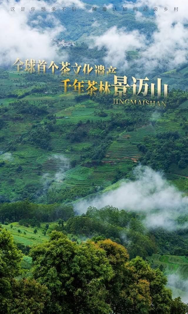中国第57项世界遗产，云南含金量最高的地方，凭什么是这个村？