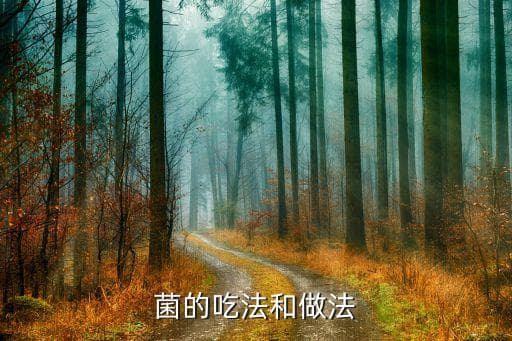 羊肚菌汤包的多种煲汤方法与技巧
