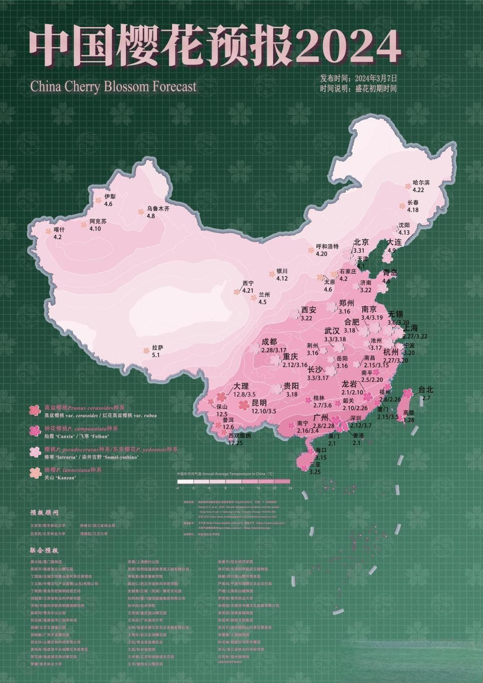 全国56个城市最佳赏樱期来了！《中国樱花预报2024》科普报告发布