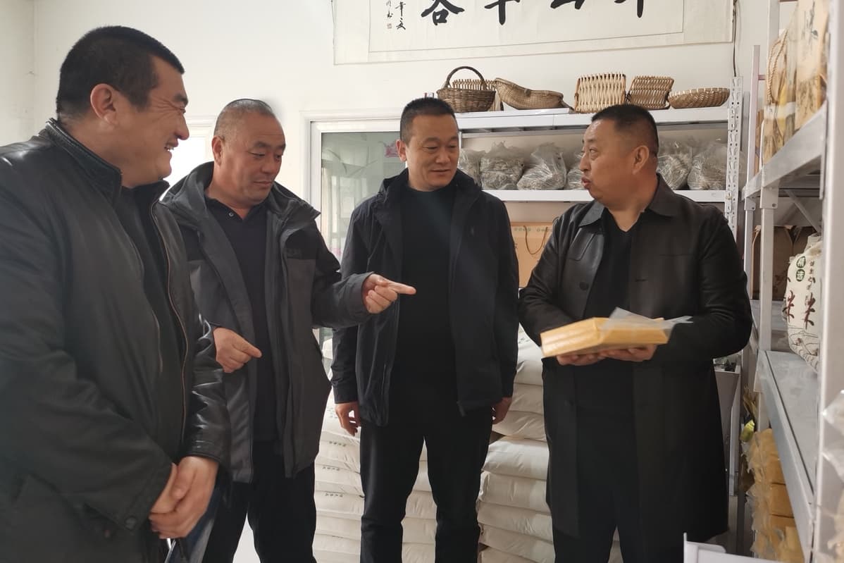 河北保定：三个村书记的大棚对话