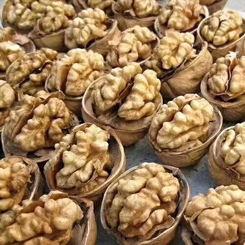 魅力新疆特产，不止有棉花