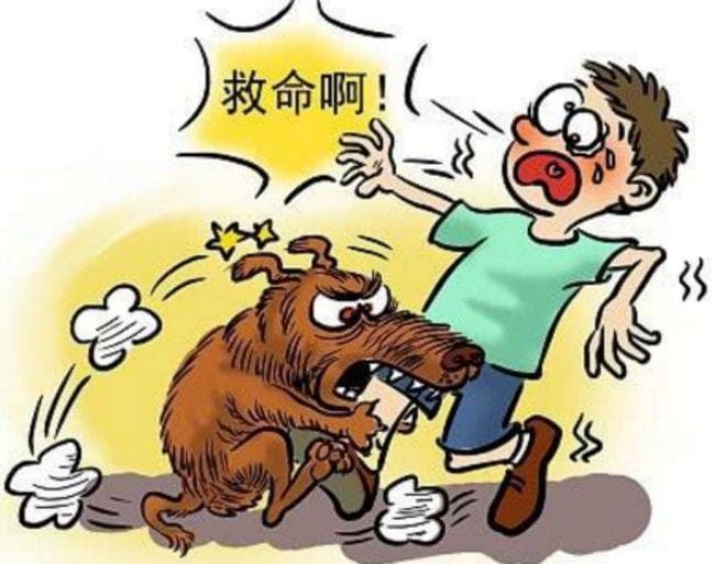 河南3岁男童被恶犬咬伤18天不幸离世！这些常识你必须知道！