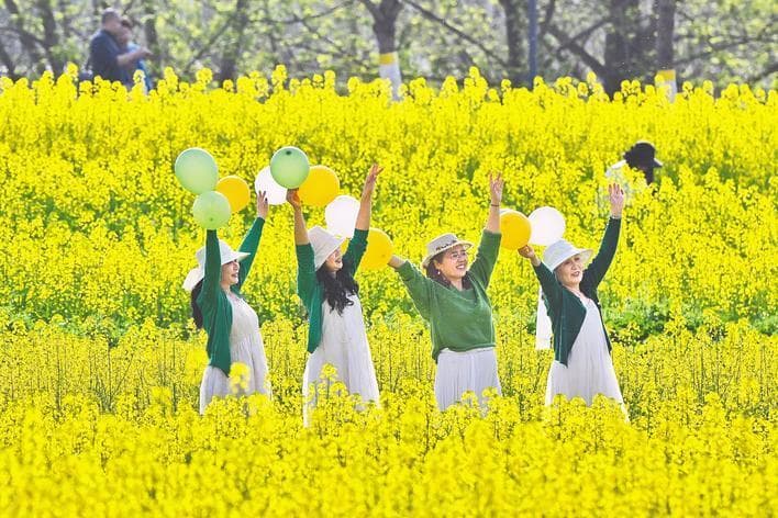 赏花季“过敏族”出门应做好防护