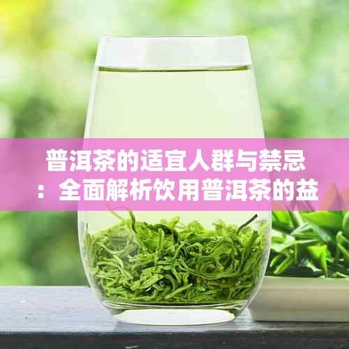 普洱茶的适宜人群与禁忌：全面解析饮用普洱茶的益处与风险
