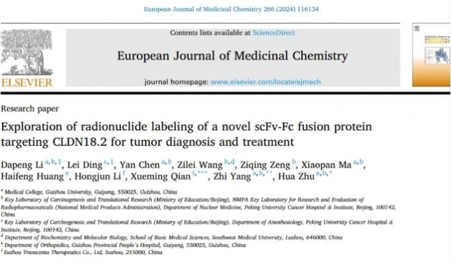 新型靶向CLDN18.2的scFv-Fc融合蛋白放射性核素标记研究取得重要进展