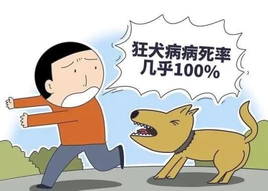小心动物“春躁”！预防狂犬病常识请收好