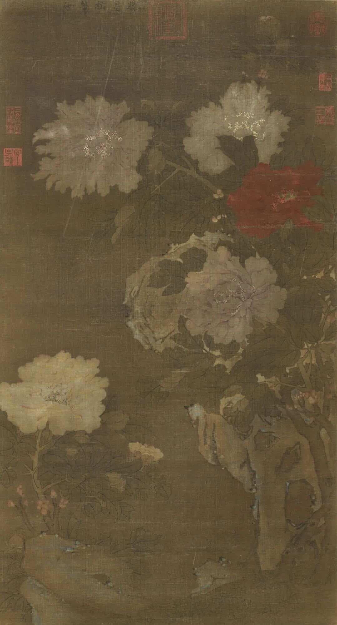 建议收藏：历代中国牡丹画臻选（附评论文章及部分作品下载链接）