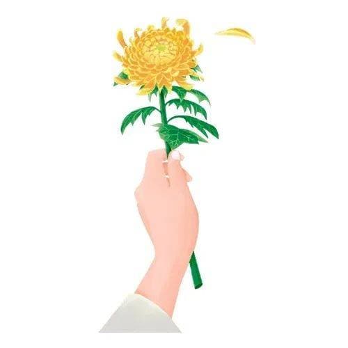 走好生命终章的手续旅程——死亡证明办理指引
