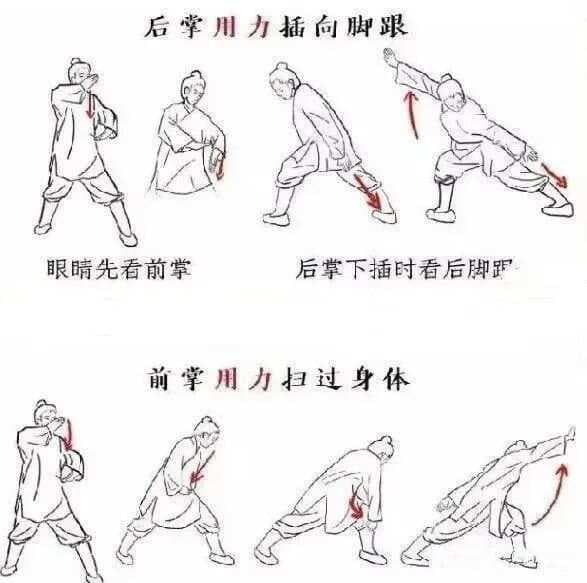 八部金刚功图文详解：从基本动作到完整功法