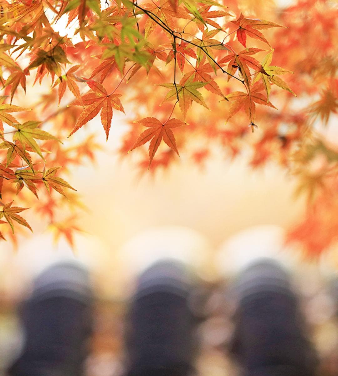 京郊10处赏秋胜地，总有一处让你心动