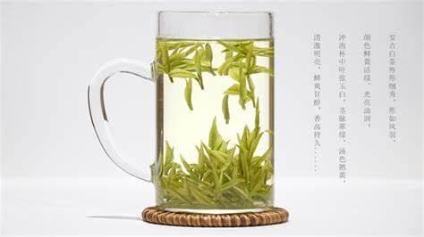 安吉白茶品质等级与2024年价格解析
