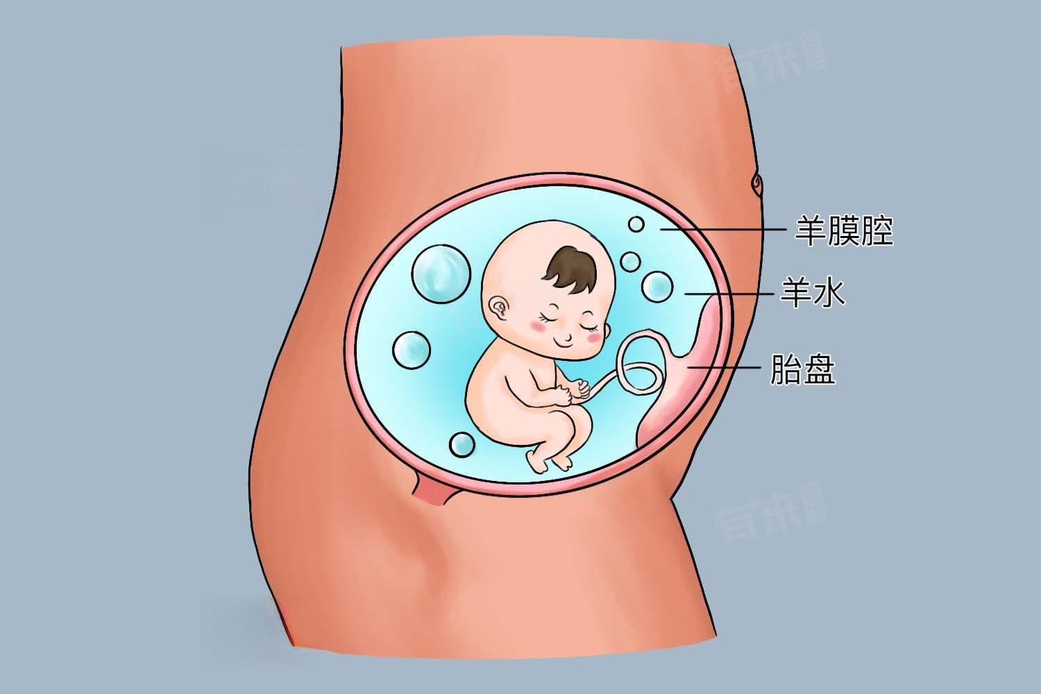 孕期羊水指数正常范围多少mm