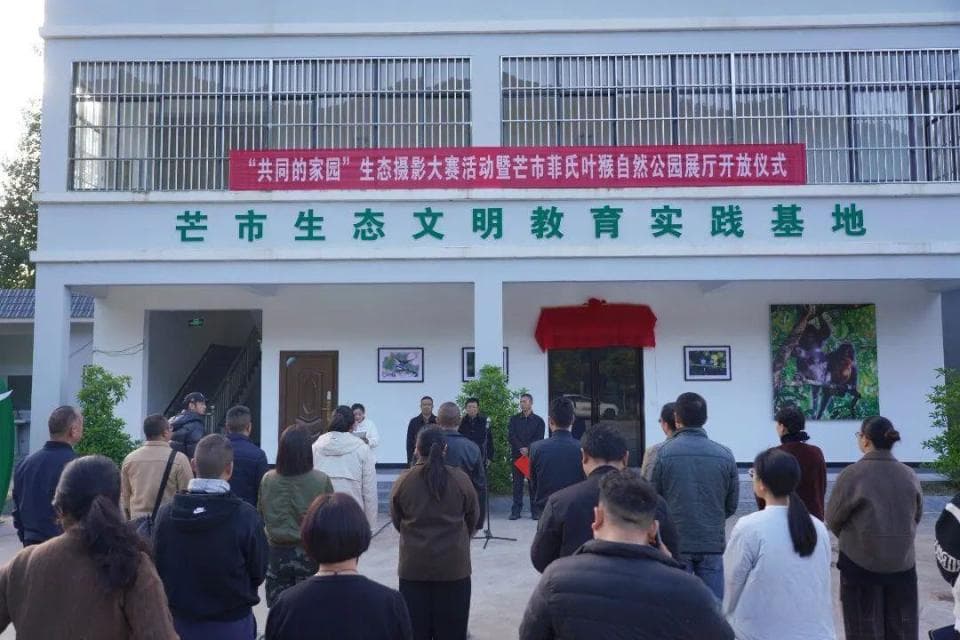 菲氏叶猴增至500只，芒市生态文明教育基地开放