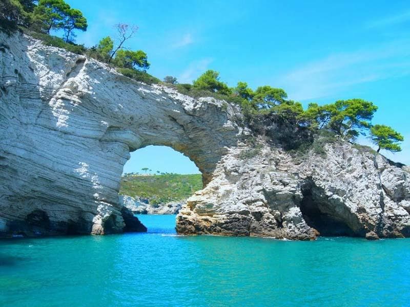氨氮检测国家标准（水质氨氮检测方法）