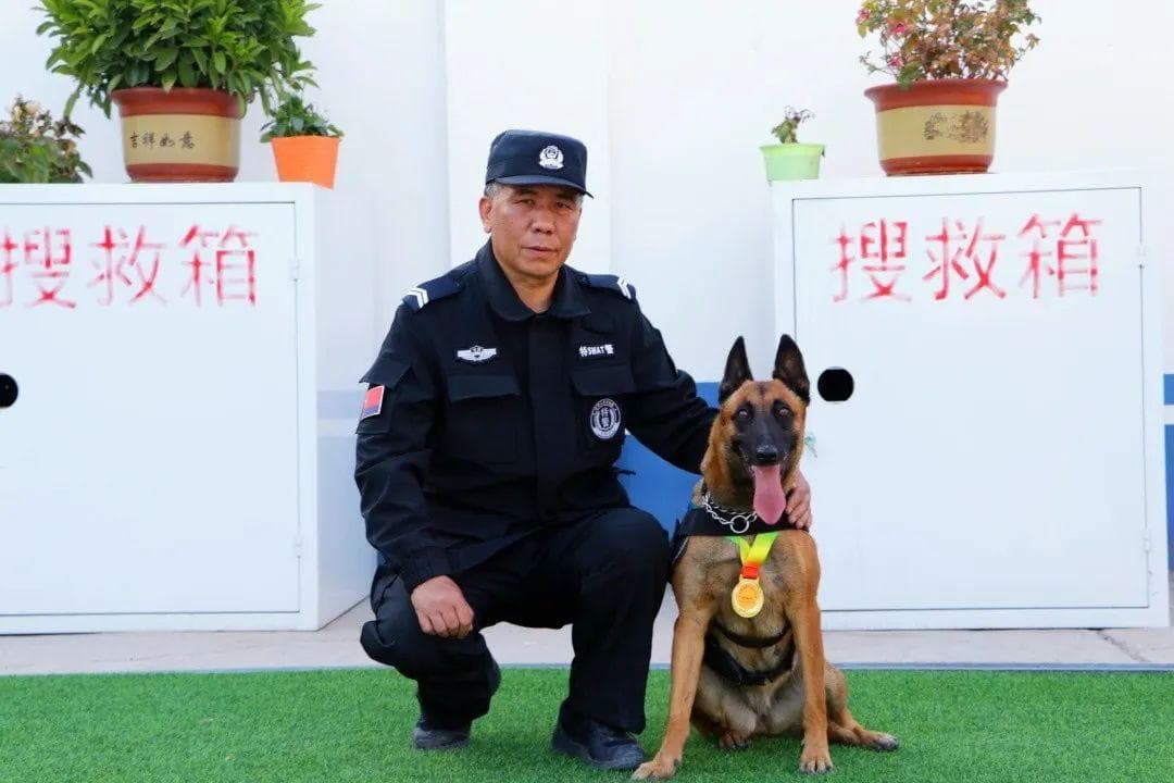 景泰公安：训导员与警犬的“跨界”情缘