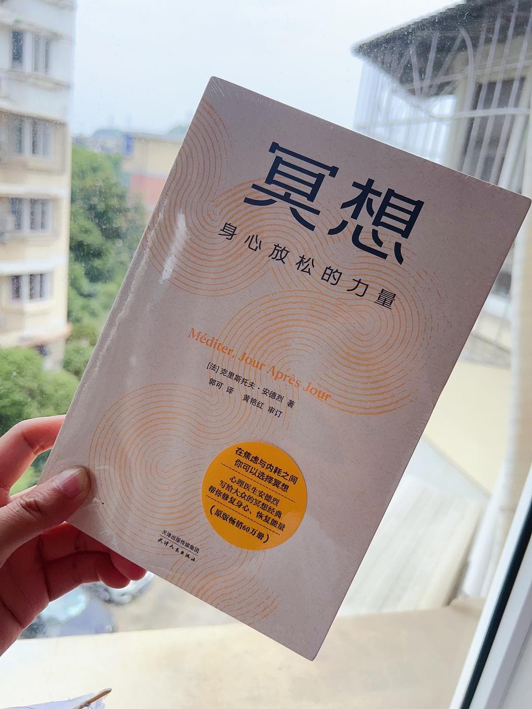 法国畅销书解析冥想：结合名画解读，科学揭示身心放松之道