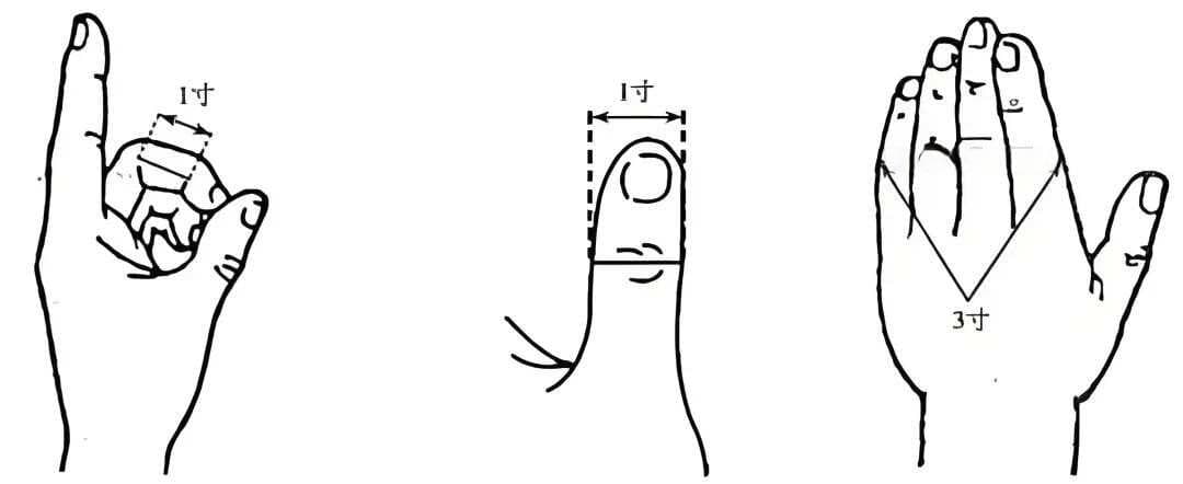 腧穴定位方法详解：从基础术语到临床应用