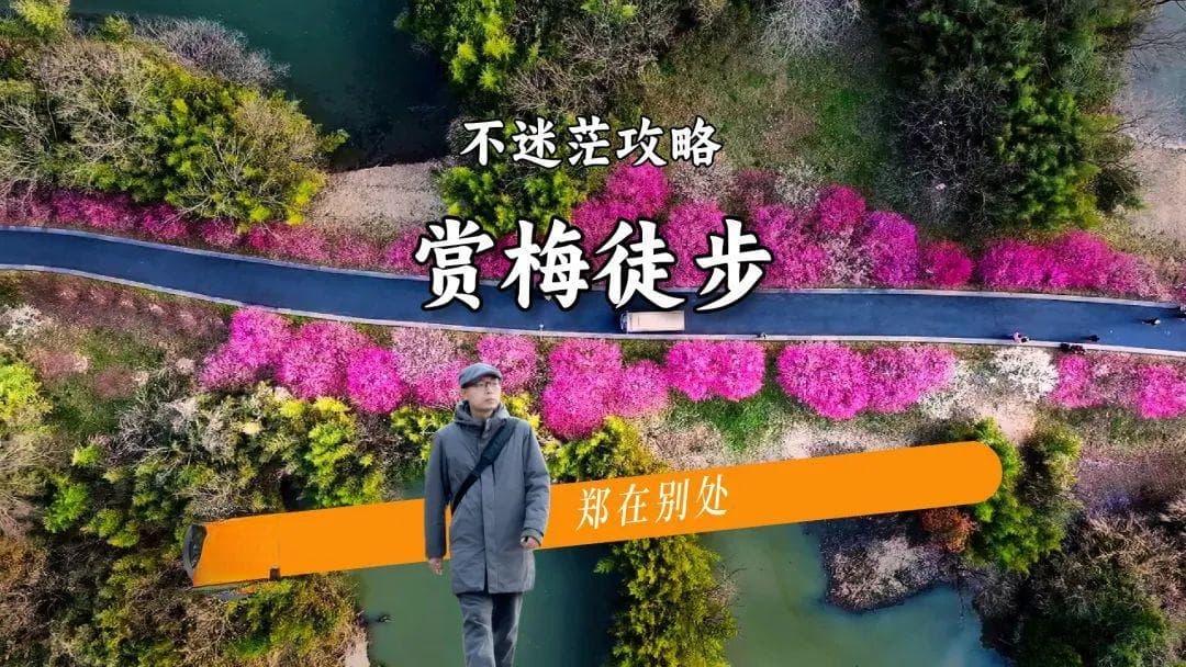 小而美徒步路线：杭州赏梅天花板，最佳赏花攻略来袭