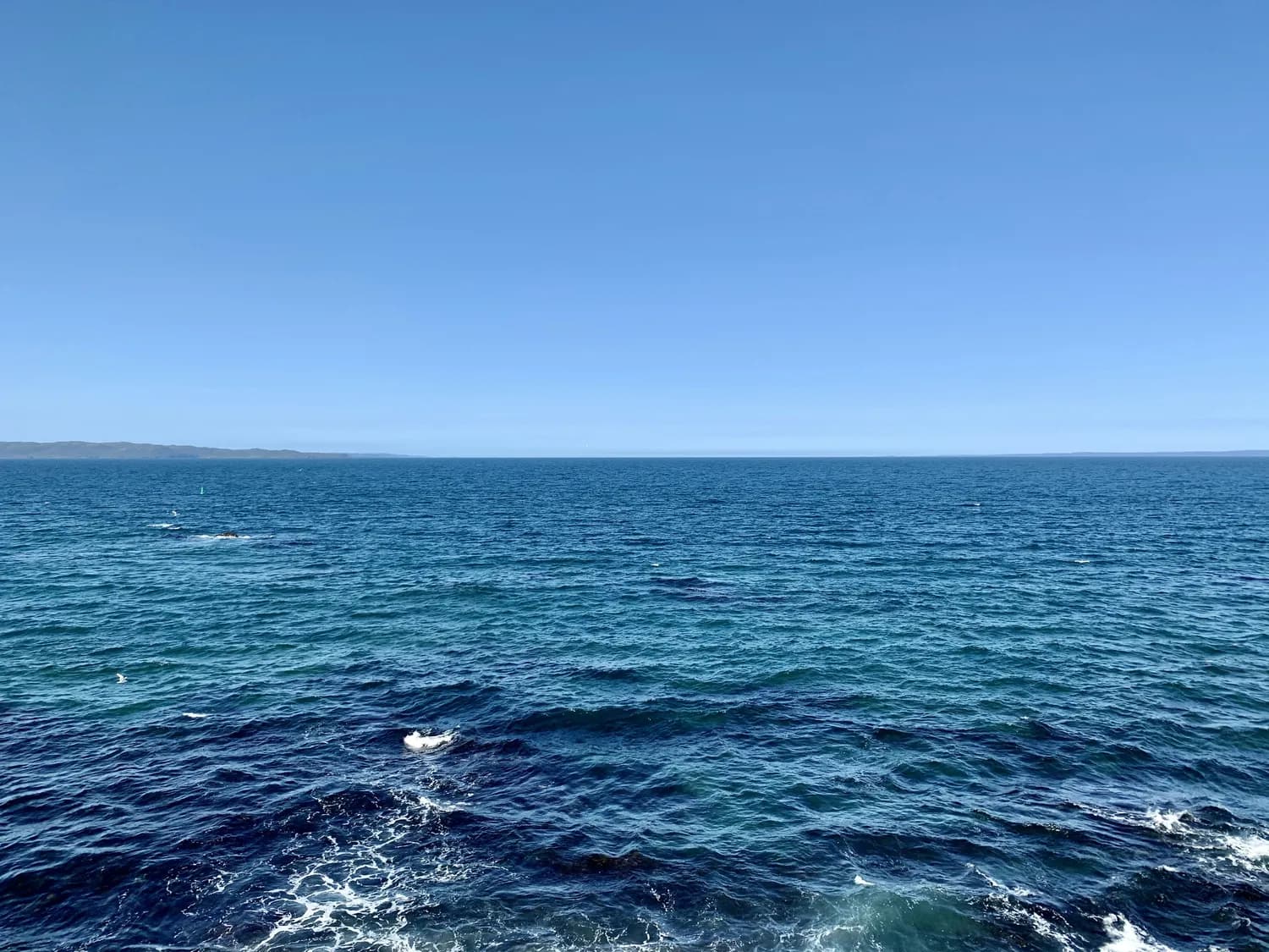 银川至青海湖自驾攻略：7-8月赏花，9-10月观鸟正当时