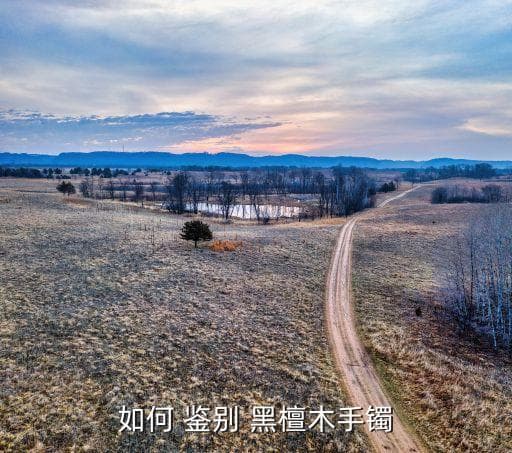 如何鉴别黑檀木手串：从纹理、痕迹到水浸测试的全方位指南