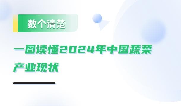 云南永善：高原冷凉蔬菜成就亿元产业，户均增收近万元