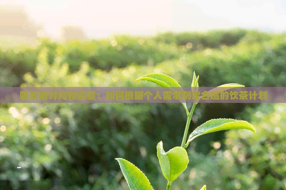 喝茶的时间和适量：如何根据个人需求制定合适的饮茶计划