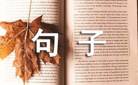 西班牙语基础语法之句子结构及常用疑问词