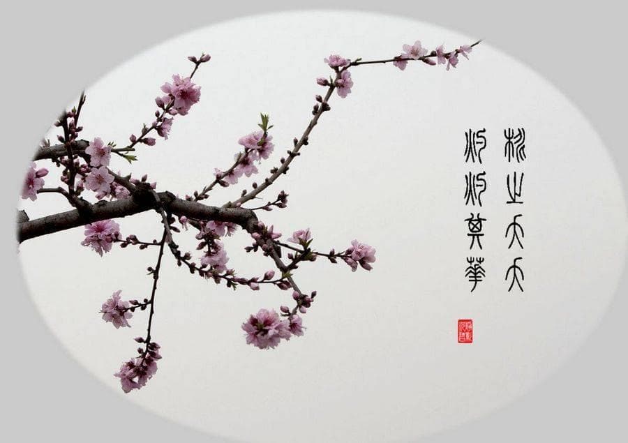 桃之夭夭灼灼其华：桃花文化中的美好寓意与时代演绎