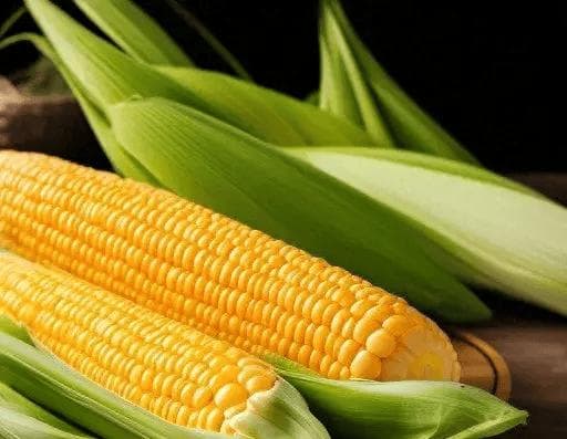 甜玉米、糯玉米热量差1倍？夏天到了，到底哪种玉米更适合减脂？