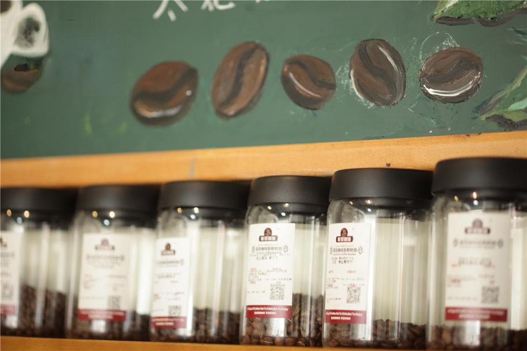 咖啡豆三大种类介绍 手冲精品咖啡阿拉比卡罗布斯塔风味特点区别
