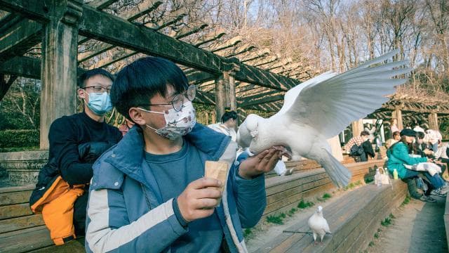 词汇精讲：investigation的用法和辨析