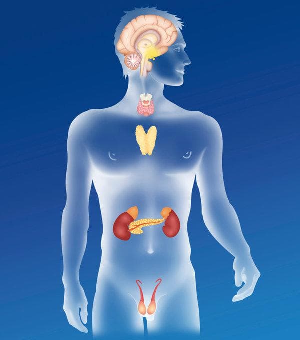 肾上腺皮质功能减退症：病因、症状与治疗全解析