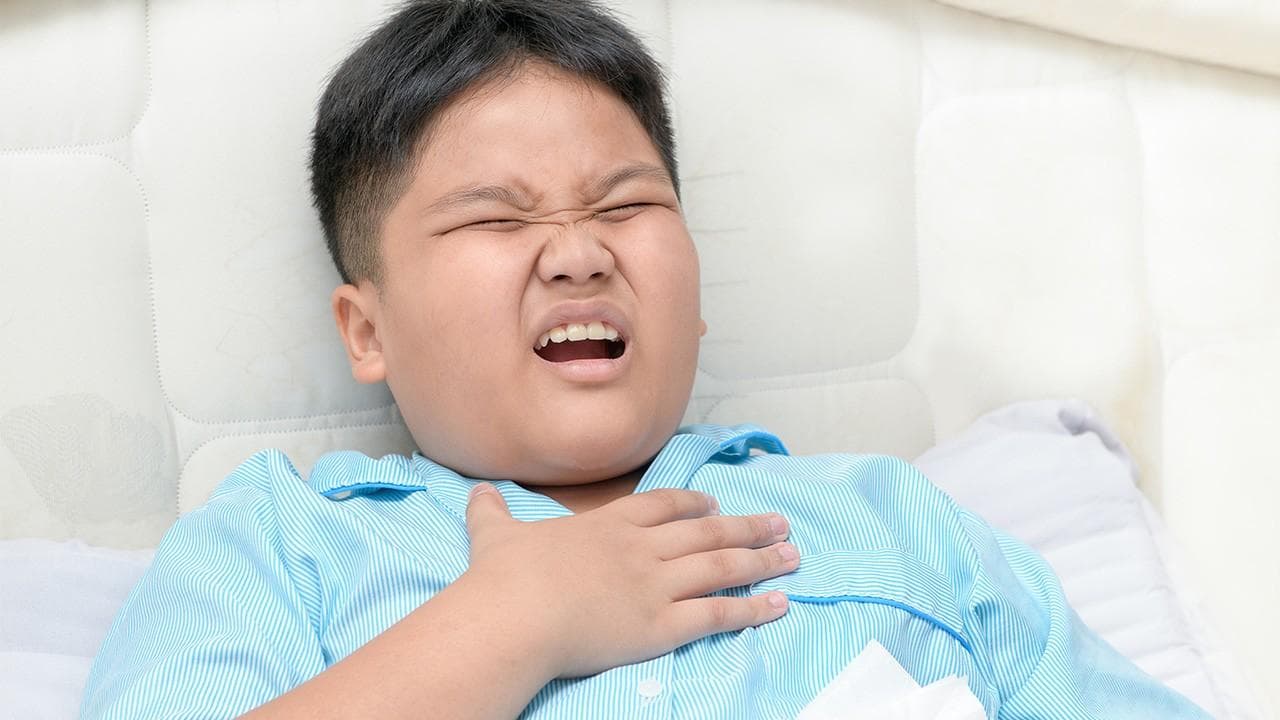 肥胖人如何饮食？这些饮食注意事项请收好