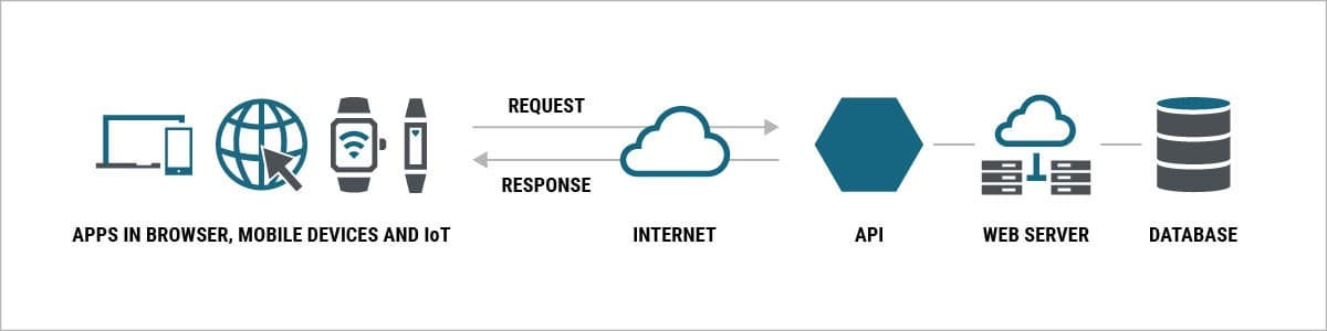 深入解析 API 類型與架構 API 的多元世界