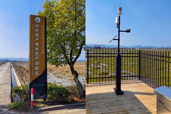 数字化赋能春耕生产，浙江诸暨建设高标准农田示范区