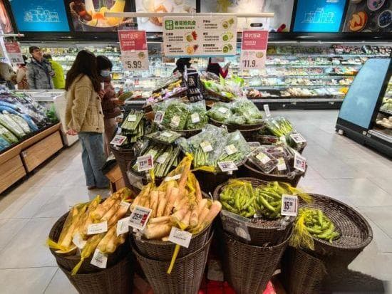 多地春菜在沪争“鲜”上市 民众食春味知自然