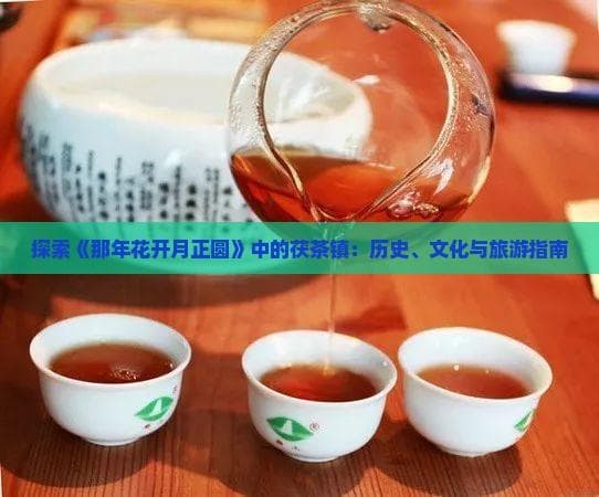 探索《那年花开月正圆》中的茯茶镇：历史、文化与旅游指南