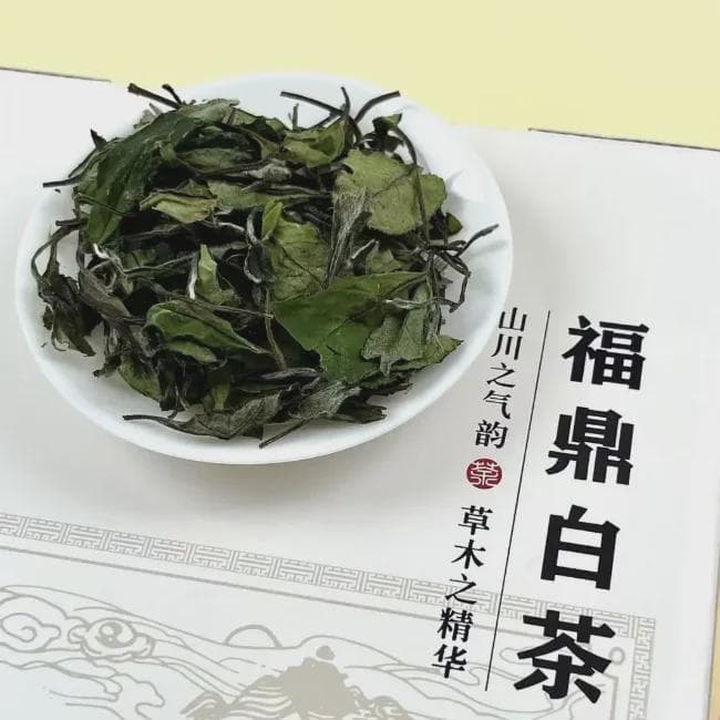 不同等级白茶怎么泡更好喝？这5种泡法必看！
