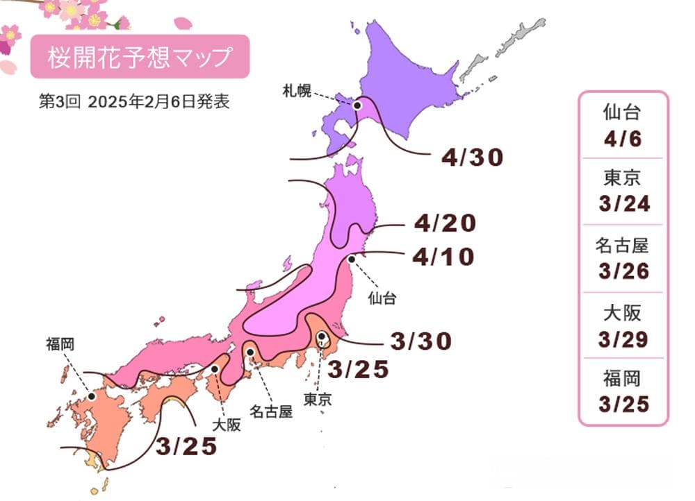 2025樱花季报到！全球暖化如何打乱花期、危害樱花生存？