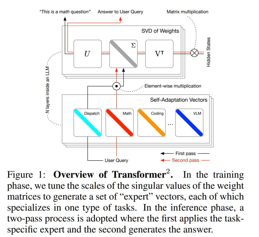 Transformer²要做「活」的AI模型，动态调整权重，像章鱼一样适应环境