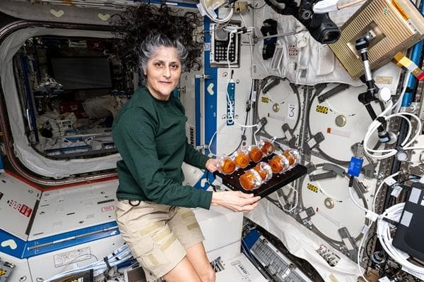 那个滞留太空的女宇航员就要回来了
