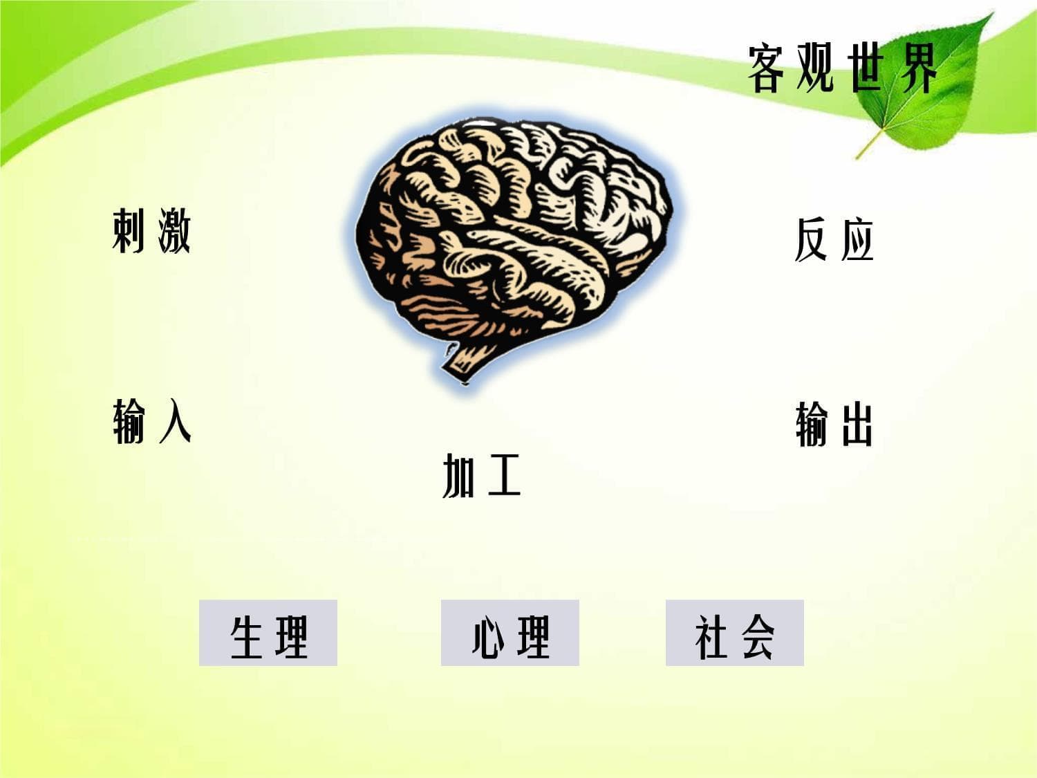 基础心理学知识概览
