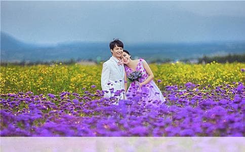 全家福菜的多重好处：营养、健康与家庭和谐的完美结合