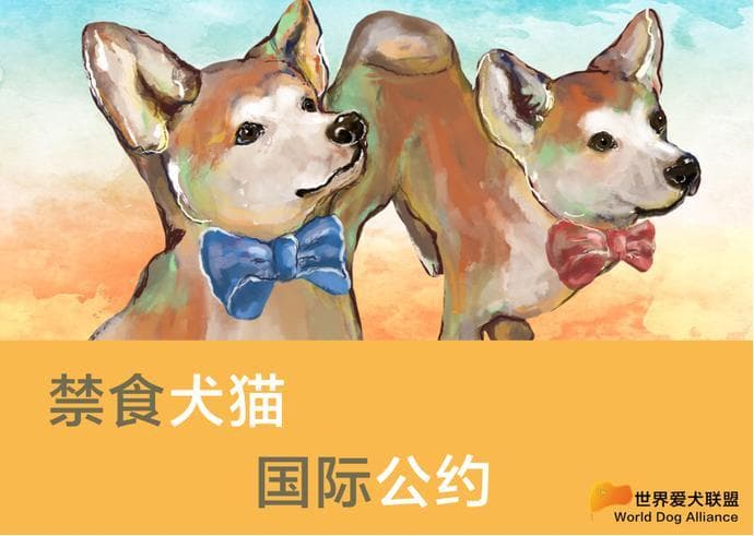国际公约国内立法 双轨并行拯救犬猫