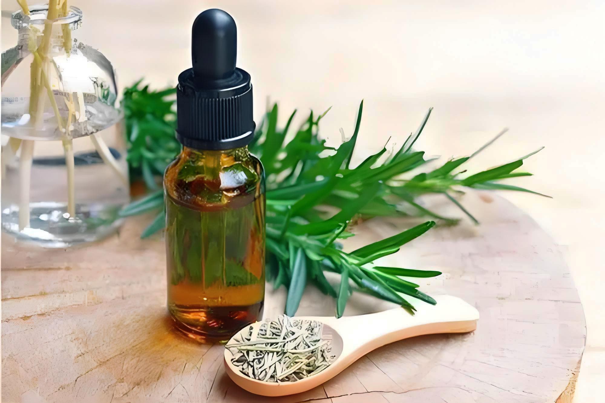 迷迭香精油在促进滋养皮肤方面的应用与研究