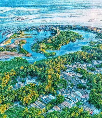海南规划护航红树林 "碳"寻绿色发展新路径