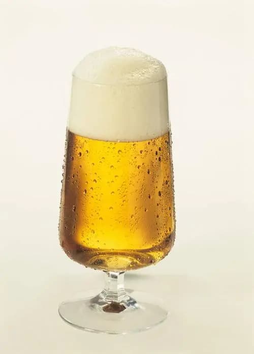 啤酒酿造过程中的氧气管理技术