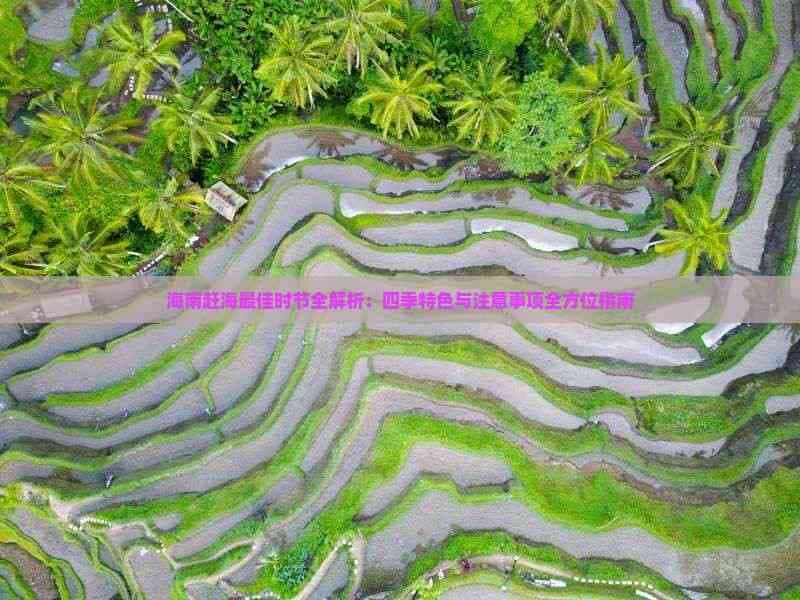 海南赶海全攻略：最佳时节、四季特色与安全指南