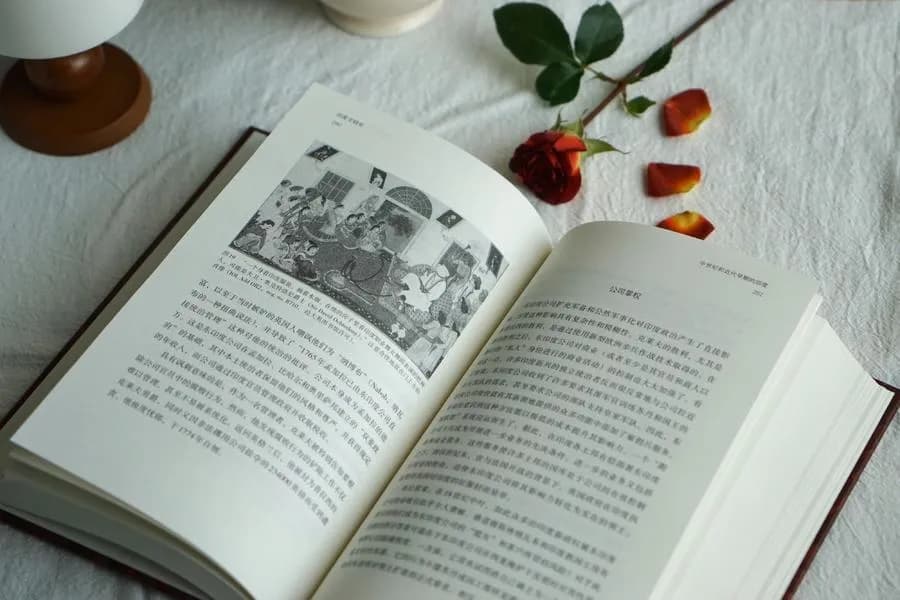 穿越千年的史诗，探索文明的交汇与融合——伯顿·斯坦《印度文明史》中译本面世